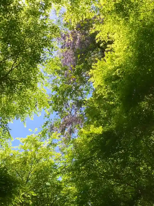 鳳来山東照宮(愛知県)