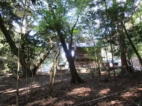 和多都美神社(長崎県)