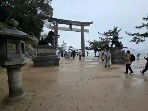 厳島神社の{uncategorized: "未分類", other: "その他", undefined: "問題あり", building: "その他建物", grave: "お墓", sacred_gate: "鳥居", guardian: "狛犬", statue: "像", buddha: "仏像", history: "歴史", nature: "自然", garden: "庭園", animal: "動物", pagoda: "塔", temizu: "手水舎", mountain_gate: "山門・神門", sanctuary: "本殿・本堂", subordinate: "末社・摂社", art: "芸術", scenery: "景色", jizo: "地蔵", ema: "絵馬", goshuin: "御朱印", omikuji: "おみくじ", items: "授与品その他", amulet: "お守り", goshuincho: "御朱印帳", eats: "食事", festival: "お祭り", votive_dance: "神楽", shichigosan: "七五三参", wedding: "結婚式", experience: "体験その他", initially: "初詣", around: "周辺", anti_infection: "感染症対策"}