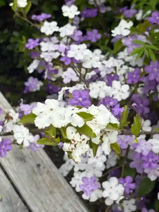 璉珹寺(奈良県)