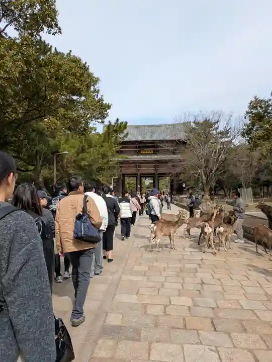 東大寺(奈良県)