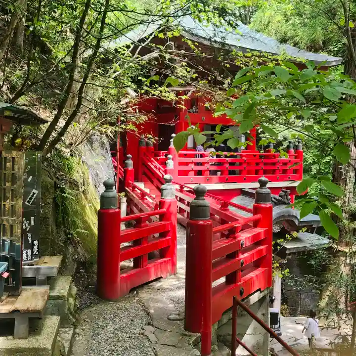 大正寺(中野不動尊)の{uncategorized: "未分類", other: "その他", undefined: "問題あり", building: "その他建物", grave: "お墓", sacred_gate: "鳥居", guardian: "狛犬", statue: "像", buddha: "仏像", history: "歴史", nature: "自然", garden: "庭園", animal: "動物", pagoda: "塔", temizu: "手水舎", mountain_gate: "山門・神門", sanctuary: "本殿・本堂", subordinate: "末社・摂社", art: "芸術", scenery: "景色", jizo: "地蔵", ema: "絵馬", goshuin: "御朱印", omikuji: "おみくじ", items: "授与品その他", amulet: "お守り", goshuincho: "御朱印帳", eats: "食事", festival: "お祭り", votive_dance: "神楽", shichigosan: "七五三参", wedding: "結婚式", experience: "体験その他", initially: "初詣", around: "周辺", anti_infection: "感染症対策"}