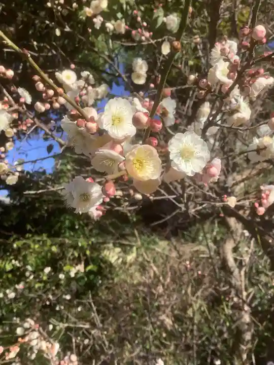 傳宗院(愛知県)