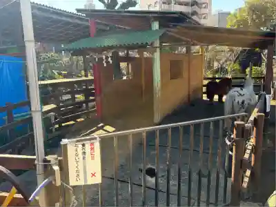 五方山熊野神社(東京都)