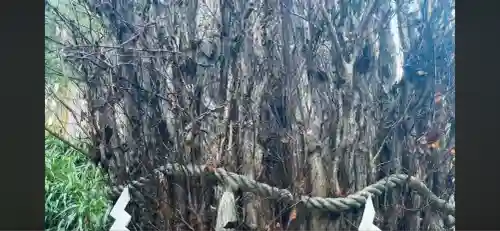 貴船神社(京都府)