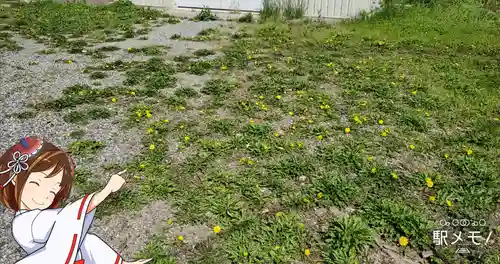 興之宮神社の自然