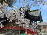 美奈宜神社(福岡県)