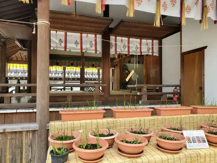 射楯兵主神社のその他建物