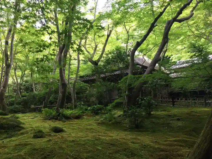 祇王寺のその他建物