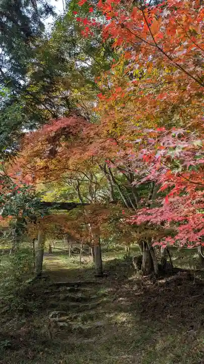 鍬山神社(京都府)