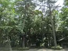 世田谷八幡宮の建物その他