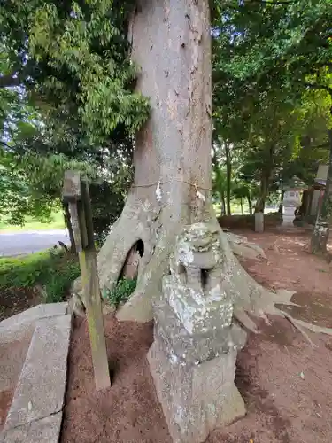 藤岡神社の狛犬