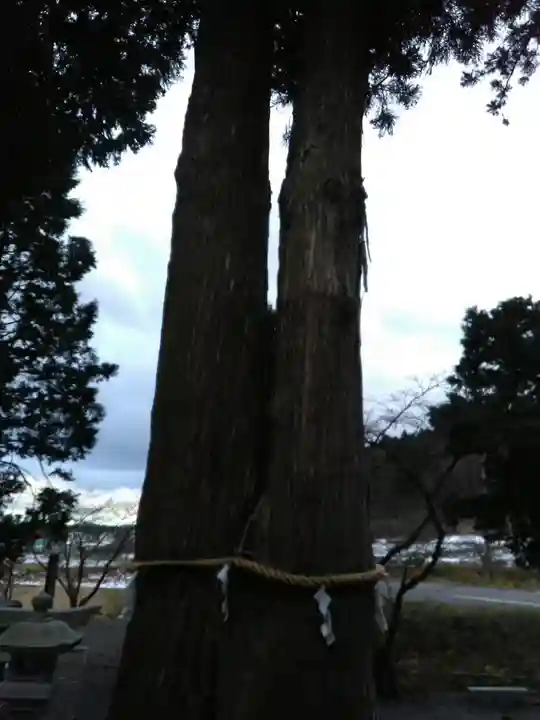 高司神社〜むすびの神の鎮まる社〜の自然