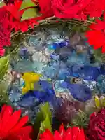 白山神社(新潟県)