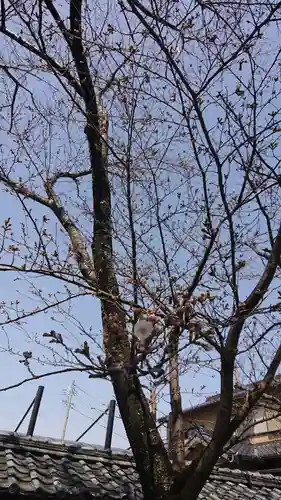 大平八幡宮の自然