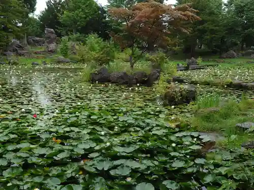 北海道護國神社の自然