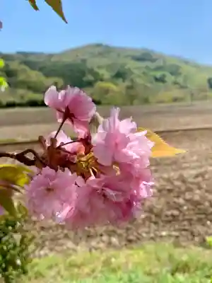 高司神社〜むすびの神の鎮まる社〜(福島県)
