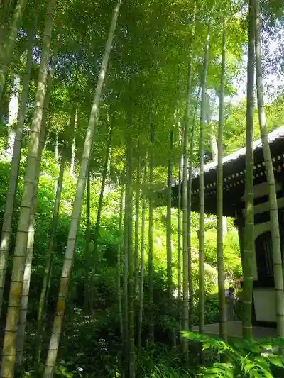 長谷寺のその他建物
