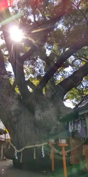 三島神社(大阪府)