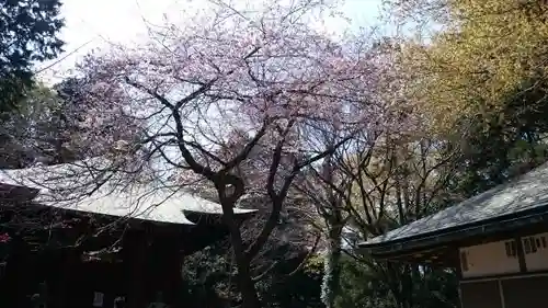 高尾山薬王院のその他建物