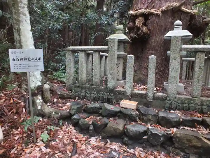 五百井神社の自然