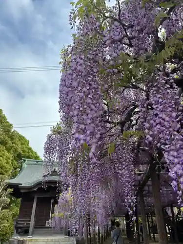 大神宮(福岡県)