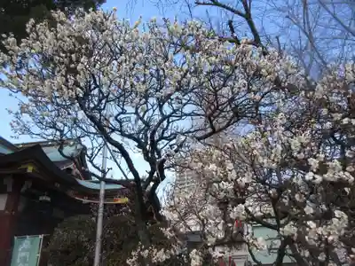 居木神社(東京都)