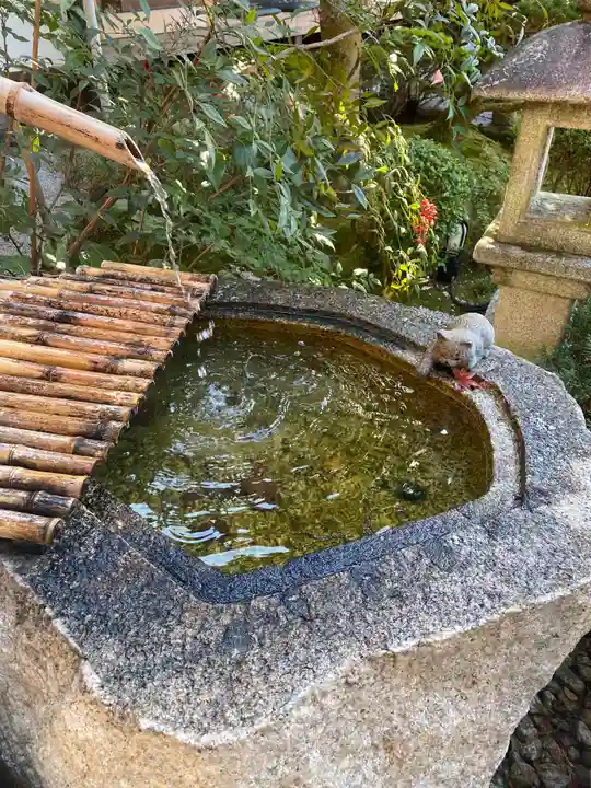 霊源院の手水舎