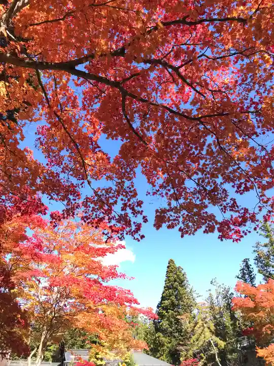 壇上伽藍(和歌山県)