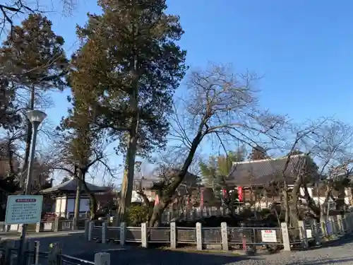 圓照寺のその他建物