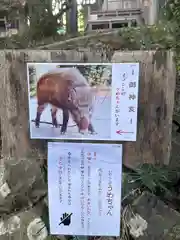 坪沼八幡神社の動物