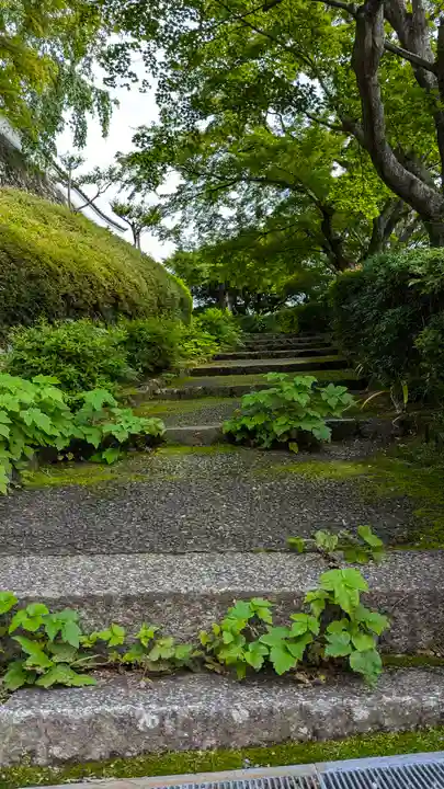 善峯寺(京都府)