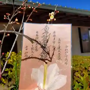 谷中 妙福寺の御朱印 2026年01月03日(土)〜(2026年01月03日(土) 12時51分20秒投稿)