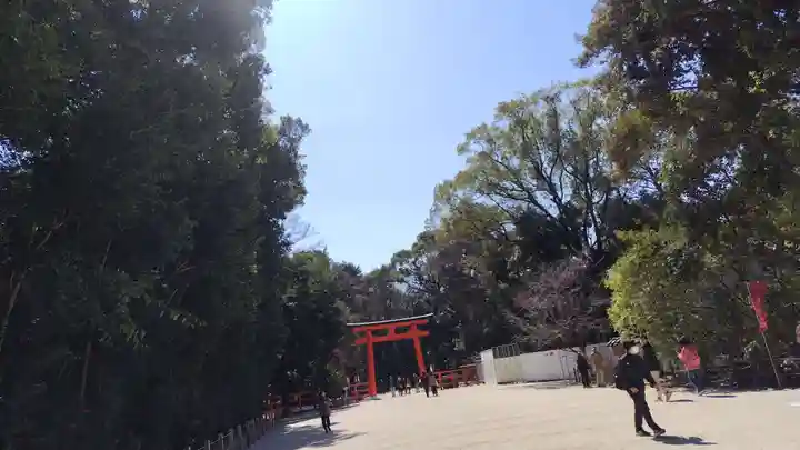 賀茂御祖神社(下鴨神社)(京都府)