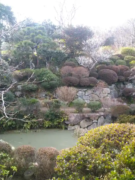 観照寺の庭園