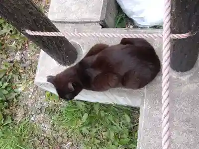 熊野若王子神社(京都府)