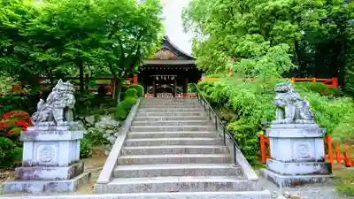 建勲神社の狛犬
