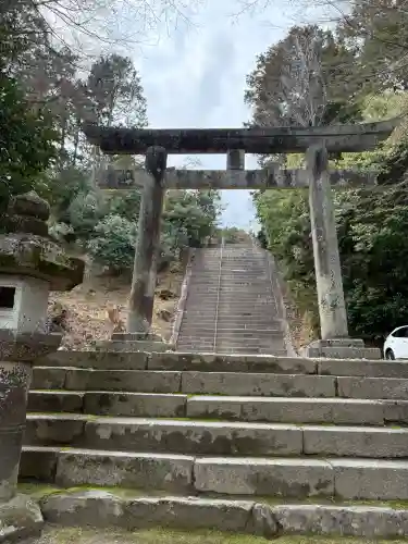 日吉東照宮（日吉大社末社）の{uncategorized: "未分類", other: "その他", undefined: "問題あり", building: "その他建物", grave: "お墓", sacred_gate: "鳥居", guardian: "狛犬", statue: "像", buddha: "仏像", history: "歴史", nature: "自然", garden: "庭園", animal: "動物", pagoda: "塔", temizu: "手水舎", mountain_gate: "山門・神門", sanctuary: "本殿・本堂", subordinate: "末社・摂社", art: "芸術", scenery: "景色", jizo: "地蔵", ema: "絵馬", goshuin: "御朱印", omikuji: "おみくじ", items: "授与品その他", amulet: "お守り", goshuincho: "御朱印帳", eats: "食事", festival: "お祭り", votive_dance: "神楽", shichigosan: "七五三参", wedding: "結婚式", experience: "体験その他", initially: "初詣", around: "周辺", anti_infection: "感染症対策"}