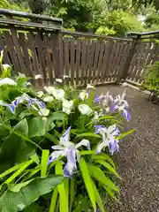 沙沙貴神社の自然