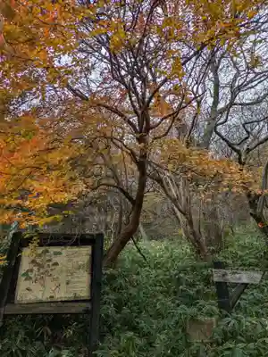 那須温泉神社の周辺