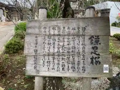 栖安寺のその他建物
