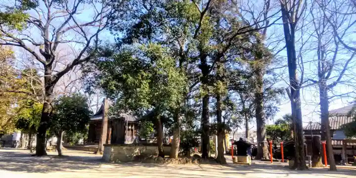 氷川神社(東京都)