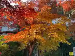 本土寺(千葉県)