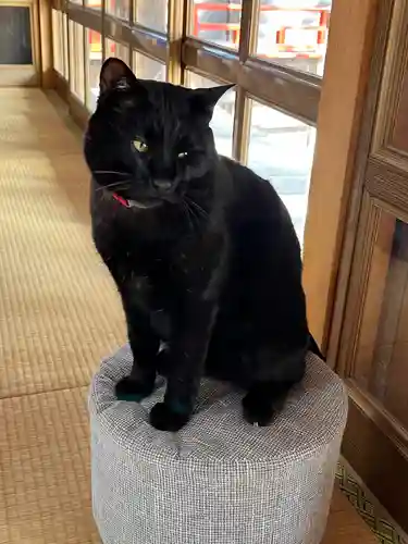 高司神社〜むすびの神の鎮まる社〜(福島県)