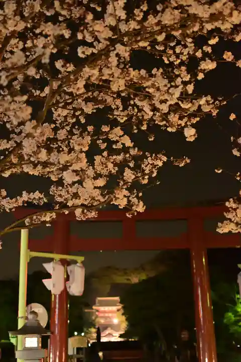 鶴岡八幡宮(神奈川県)