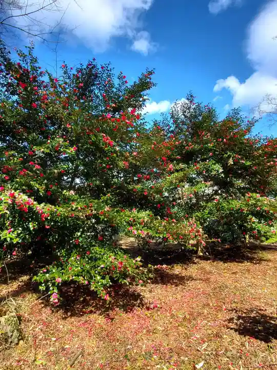 神炊館神社 ⁂奥州須賀川総鎮守⁂(福島県)