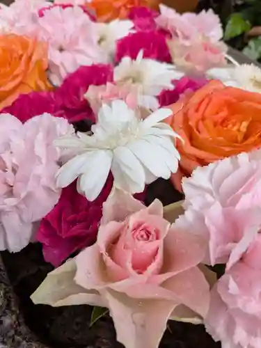 本郷氷川神社(東京都)