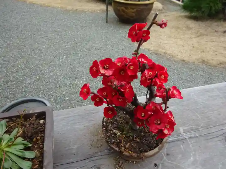 妙蓮寺(神奈川県)