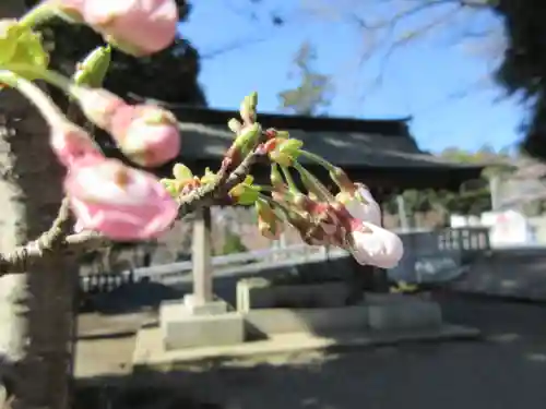 茨城縣護國神社の自然