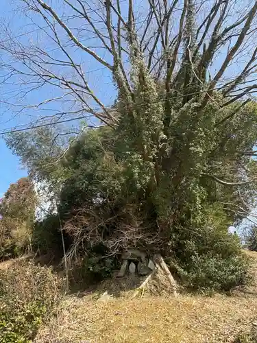 新田神社(愛媛県)